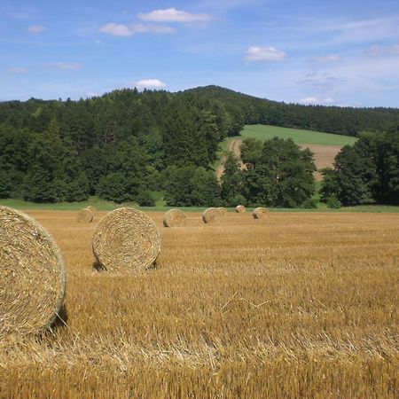 Ferienhof An Der Lay Kerpen  ภายนอก รูปภาพ