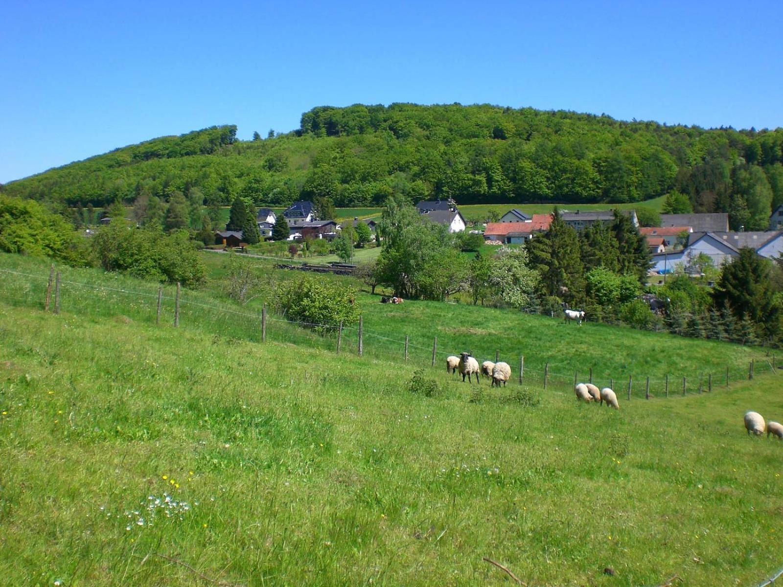 Ferienhof An Der Lay Kerpen  ภายนอก รูปภาพ