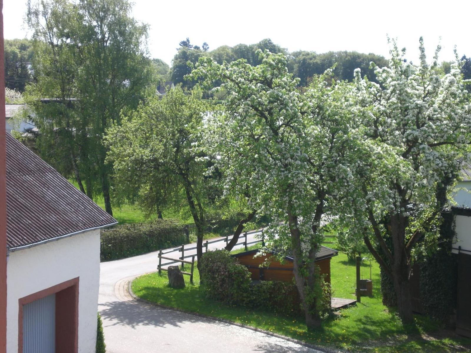 Ferienhof An Der Lay Kerpen  ภายนอก รูปภาพ