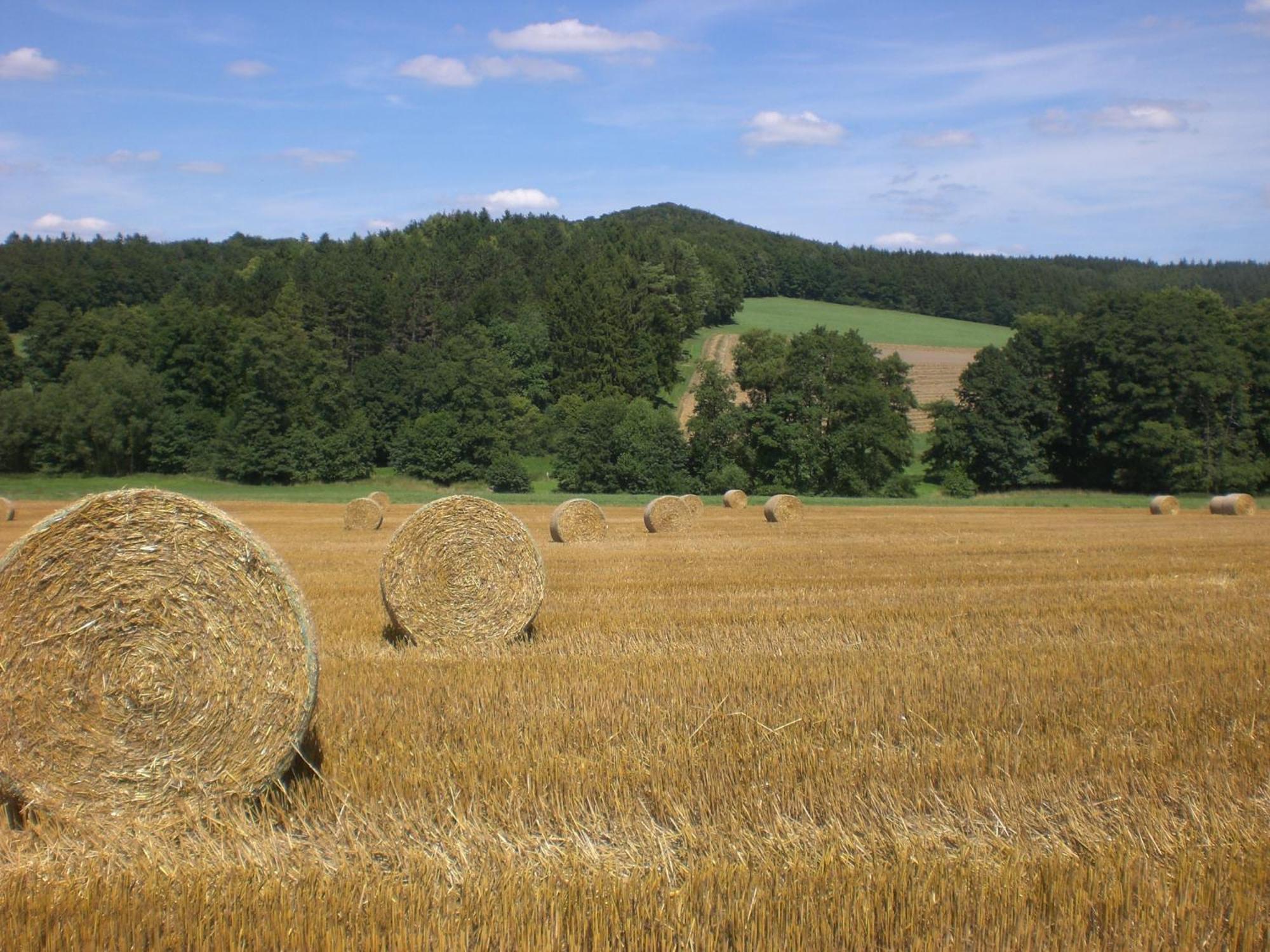 Ferienhof An Der Lay Kerpen  ภายนอก รูปภาพ
