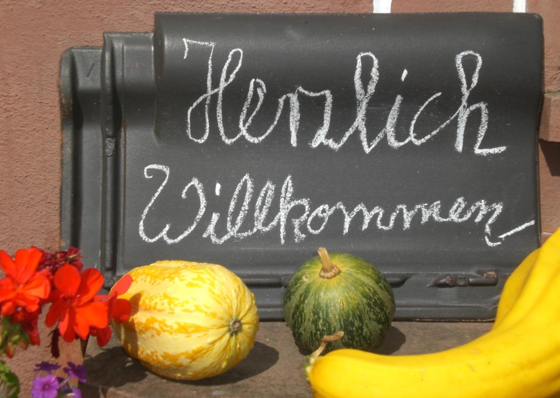 Ferienhof An Der Lay Kerpen  ภายนอก รูปภาพ