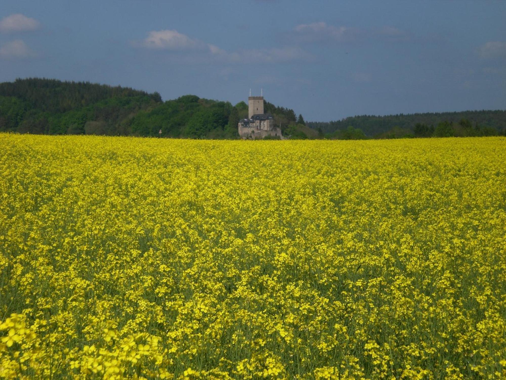Ferienhof An Der Lay Kerpen  ภายนอก รูปภาพ