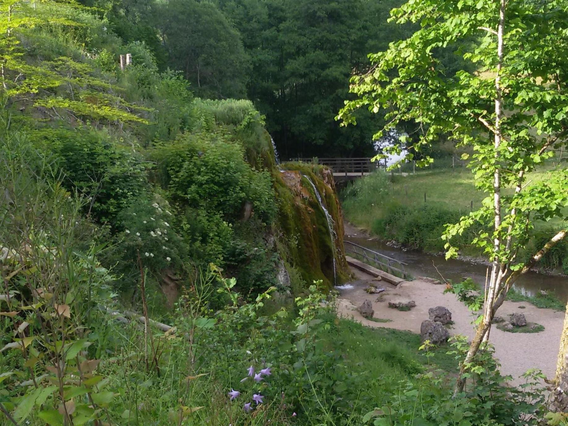 Ferienhof An Der Lay Kerpen  ภายนอก รูปภาพ