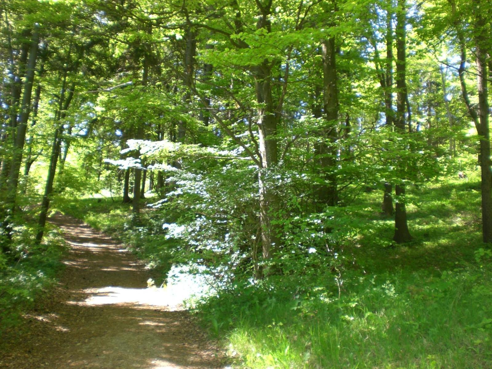 Ferienhof An Der Lay Kerpen  ภายนอก รูปภาพ